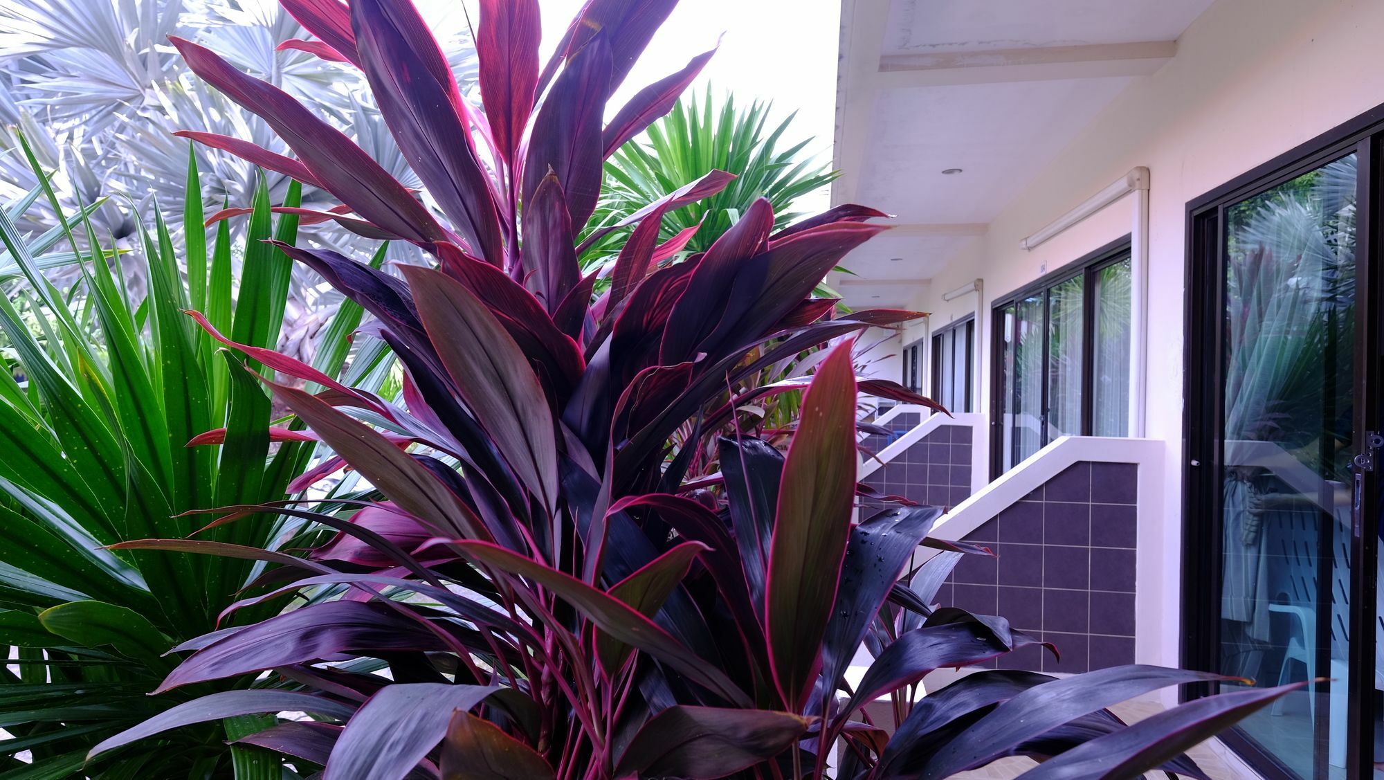 Samui Guest House Lamai Beach  Exterior photo